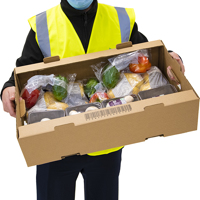 cardboard delivery tray product - Medium