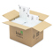 kite mailers in box - Small